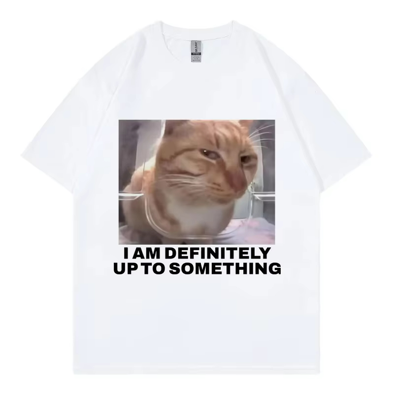เสื้อยืดลายแมวตลกๆ สไตล์ฮาราจู - Street Fashion Definition บทวิจารณ์และราคา